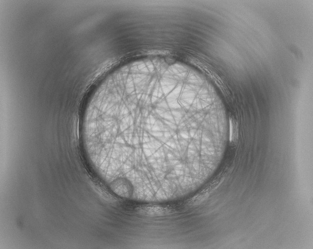 X0000116050253200912181258