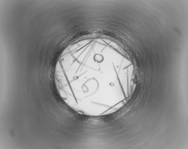 X0000116050280200912181258