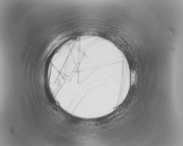 X0000116050291200912181257