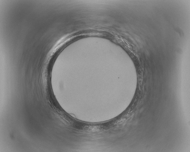 X0000116050295200912181257