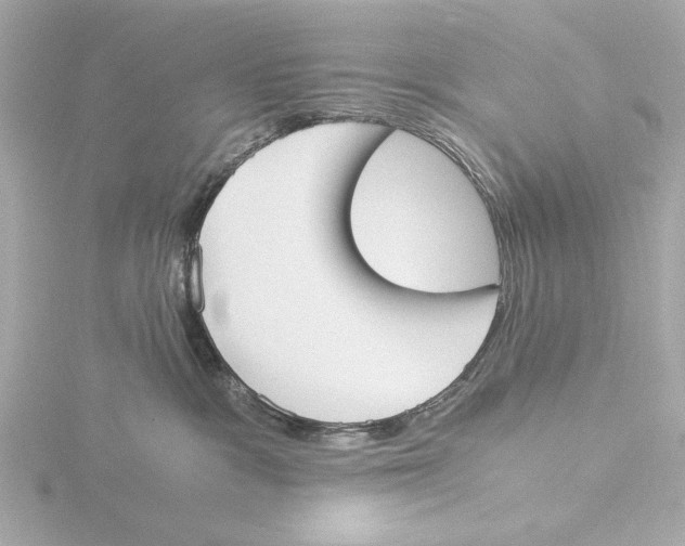 X0000116050333200912181257