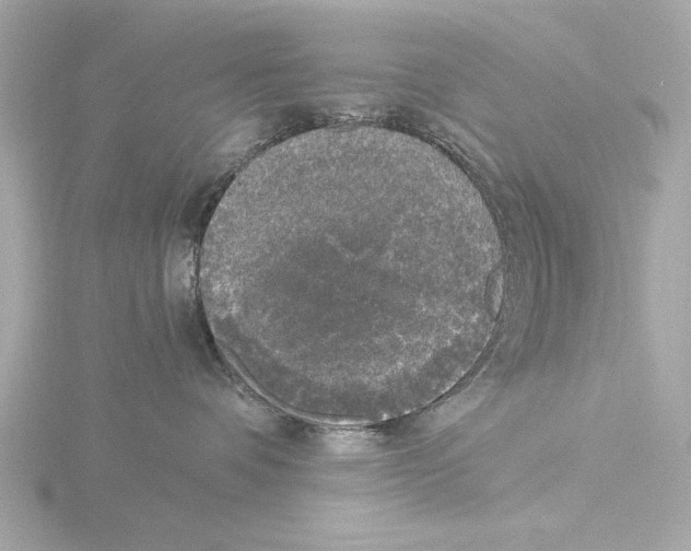 X0000116050336200912181257