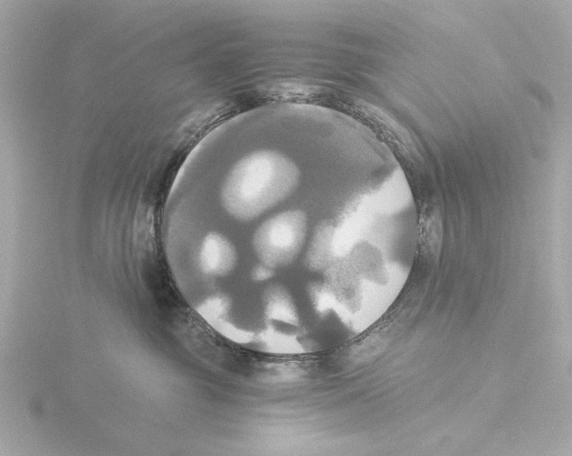X0000116050381200912181257