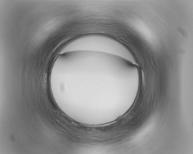 X0000116050387200912181256