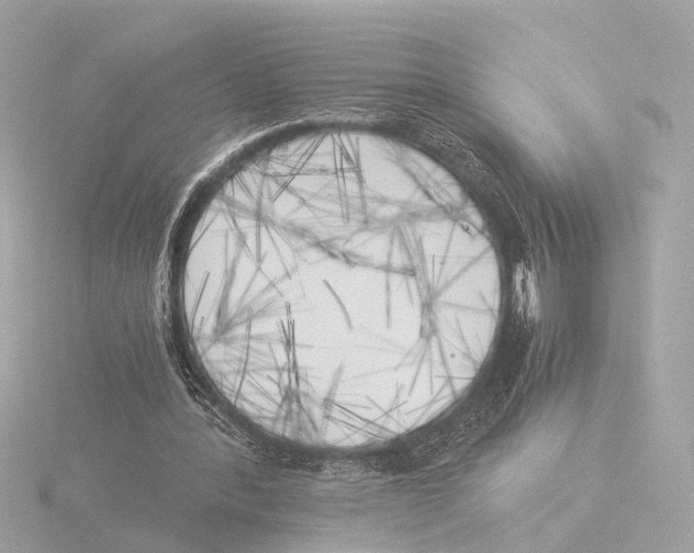 X0000116050388200912181256