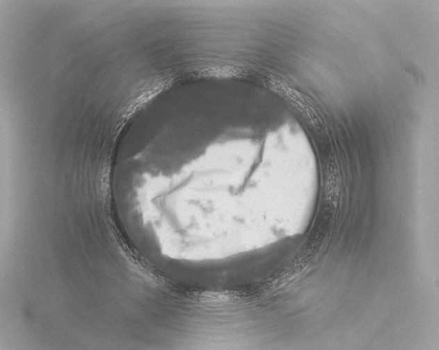 X0000116050394200912181256