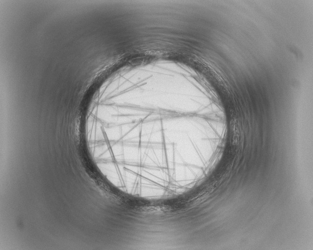 X0000116050404200912181256