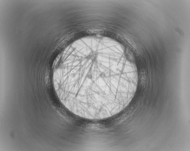 X0000116050408200912181256