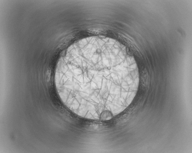 X0000116050420200912181256