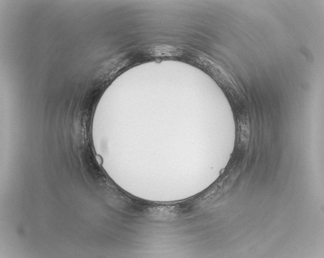 X0000116050422200912181256