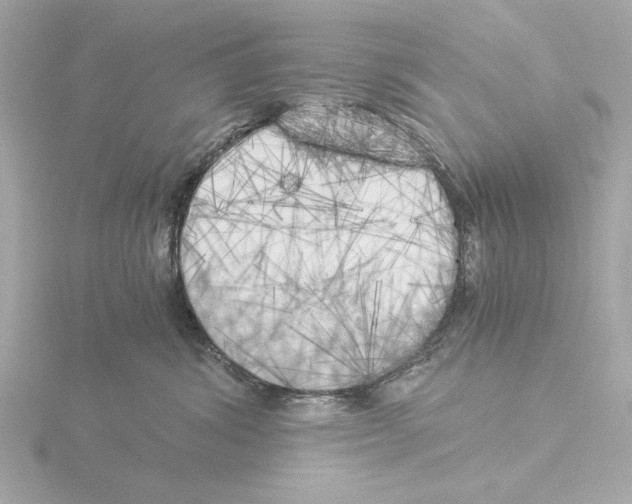 X0000116050428200912181255
