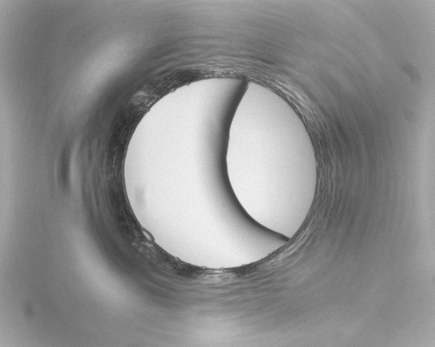 X0000116050429200912181255