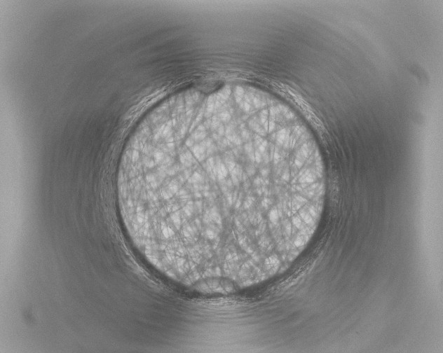 X0000116050433200912181255