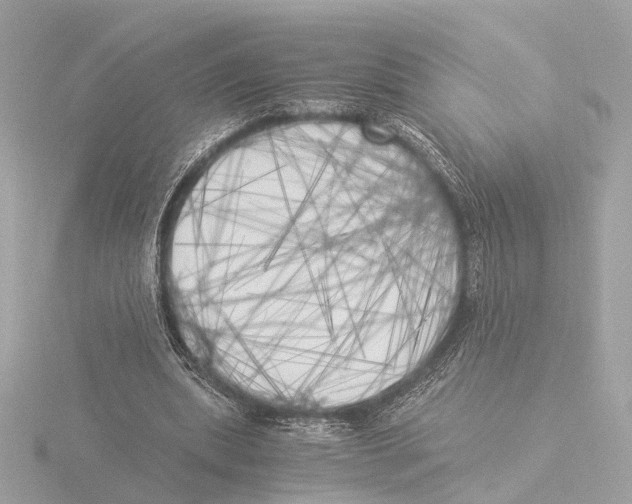 X0000116050439200912181255