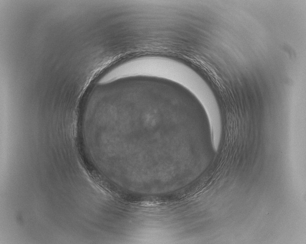 X0000116050496200912181255