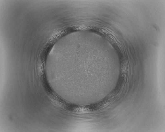 X0000116050503200912181254