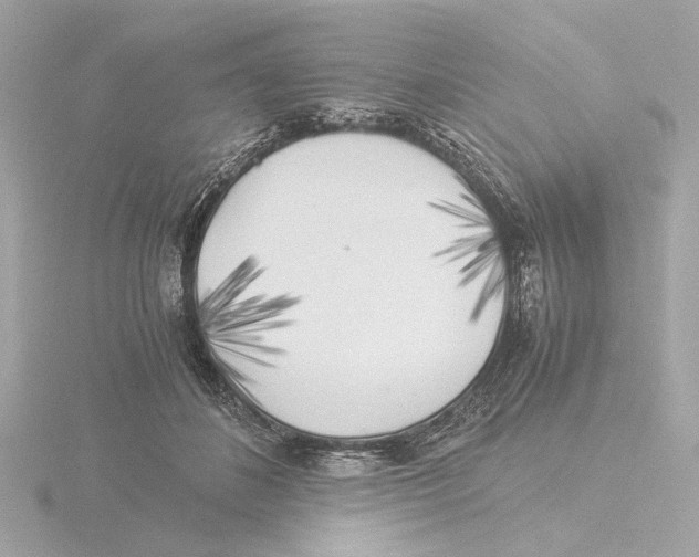 X0000116050508200912181254