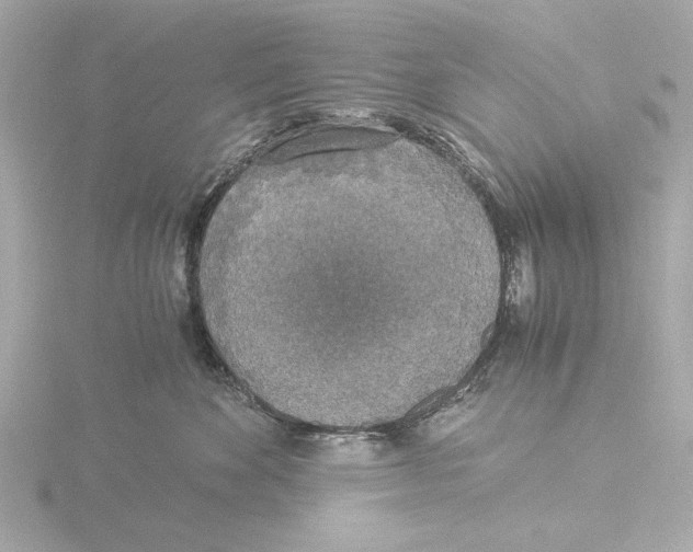 X0000116050524200912181254