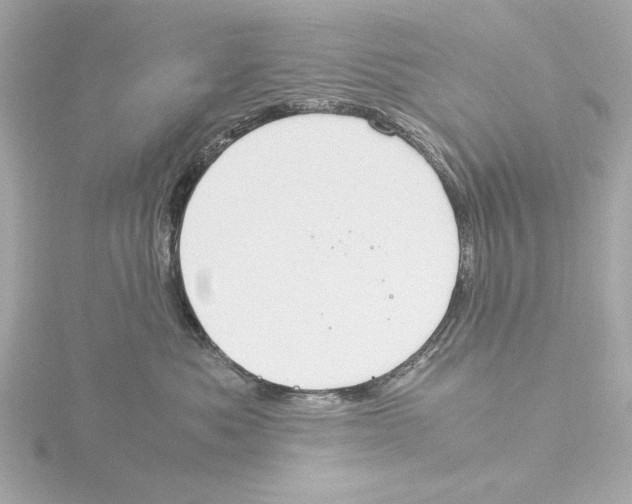 X0000116050525200912181254