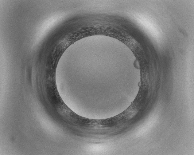 X0000116050526200912181254