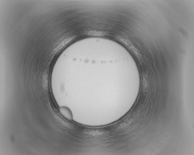 X0000116050533200912181254