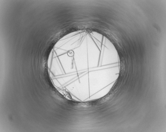 X0000116050574200912181254