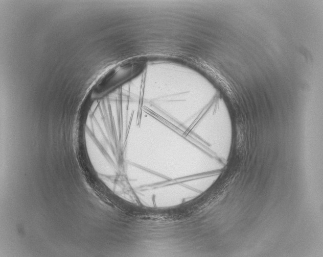 X0000116050580200912181253