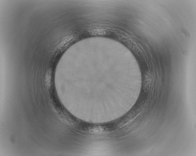 X0000116050600200912181253
