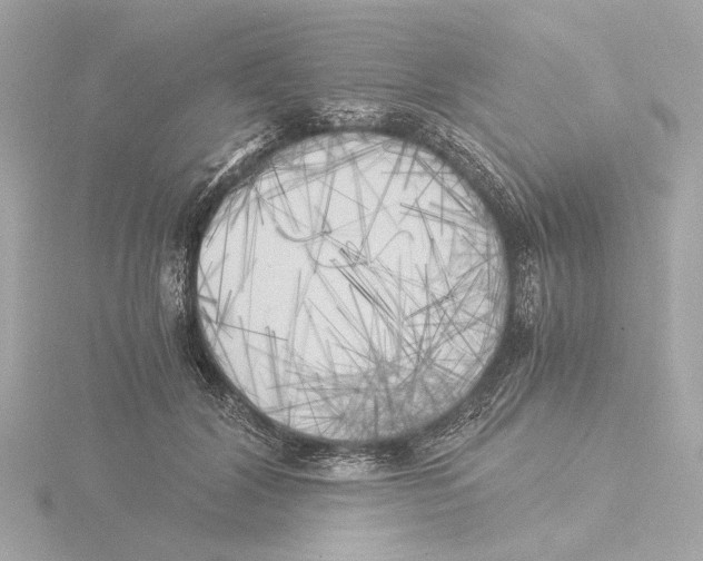X0000116050604200912181253