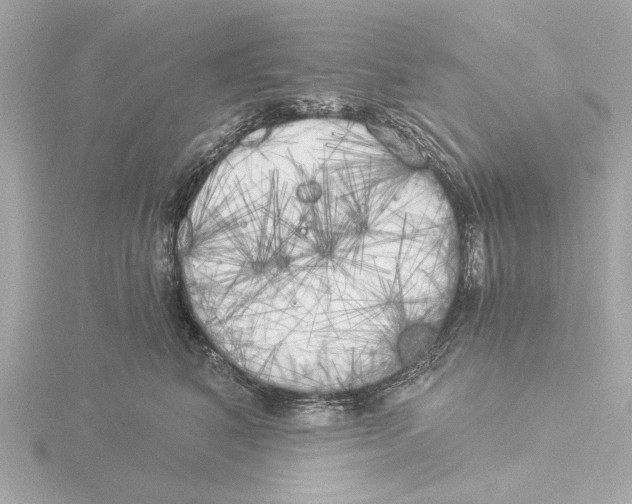 X0000116050616200912181253