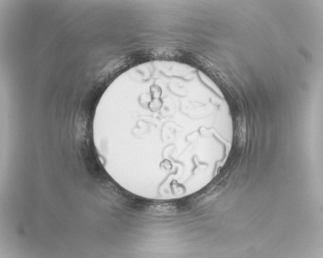 X0000116050619200912181253