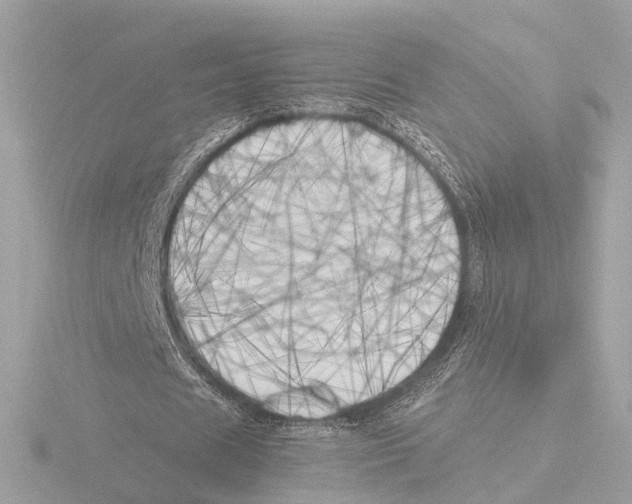 X0000116050625200912181252