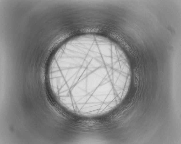 X0000116050631200912181252