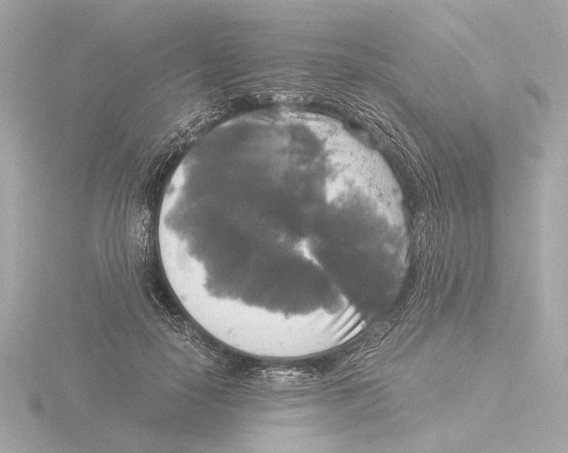 X0000116050650200912181252