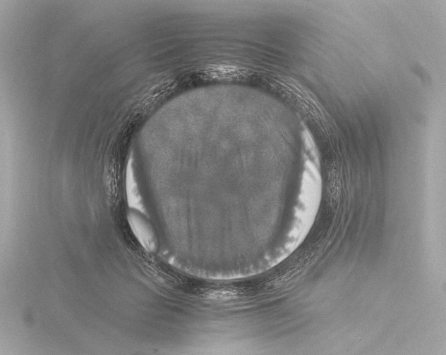 X0000116050653200912181253