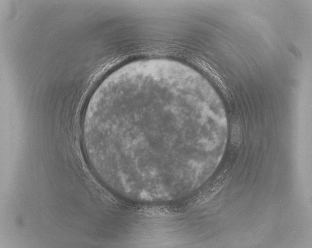 X0000116050673200912181252