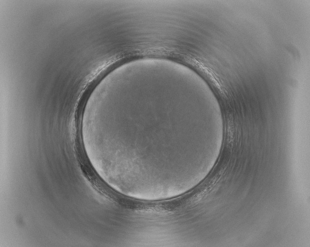 X0000116050674200912181252