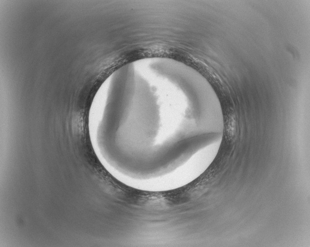 X0000116050715200912181252
