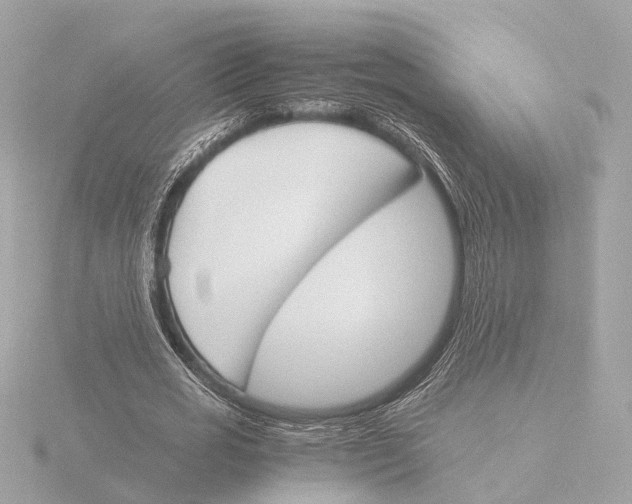 X0000116050725200912181251