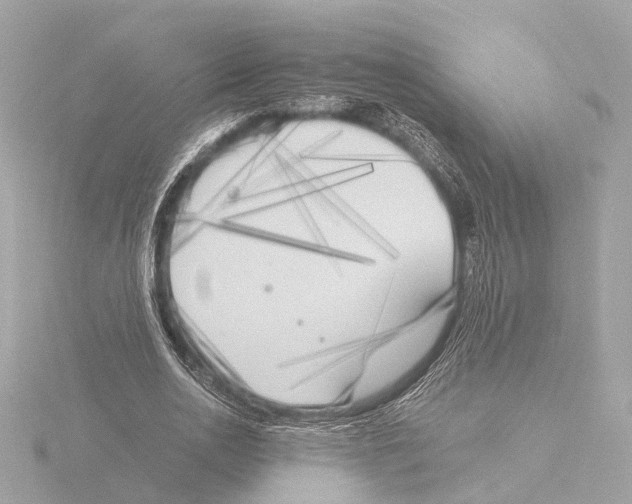 X0000116050726200912181251