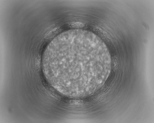 X0000116050745200912181251