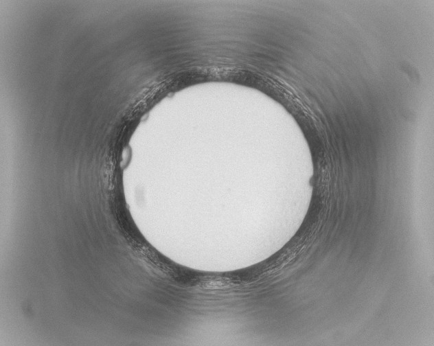 X0000116050750200912181251
