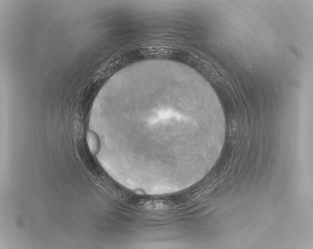 X0000116050751200912181251