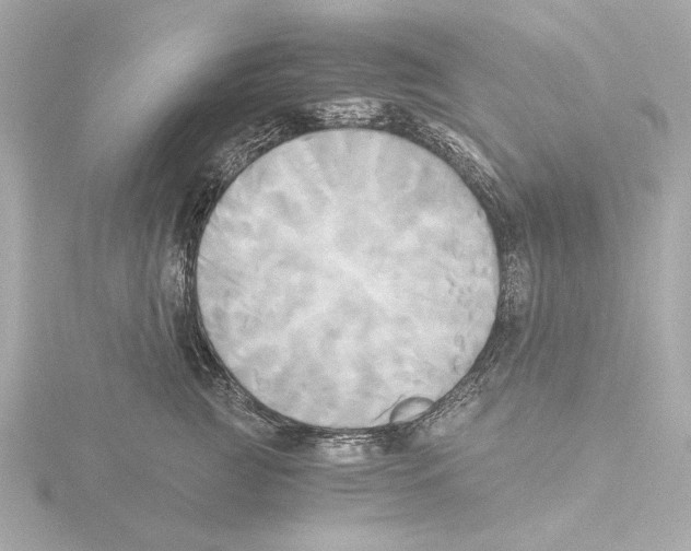 X0000116050761200912181251
