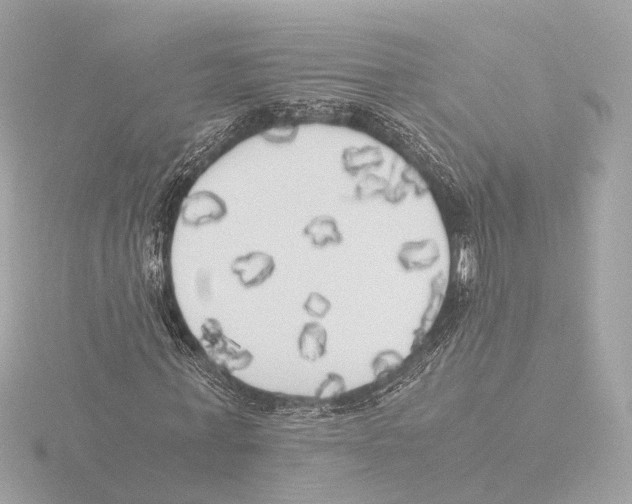 X0000116050771200912181251
