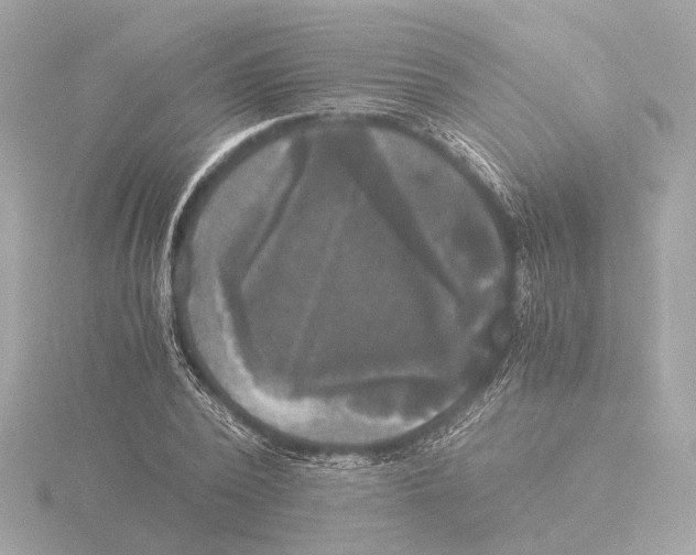 X0000116050784200912181251