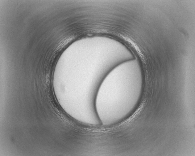 X0000116050785200912181251