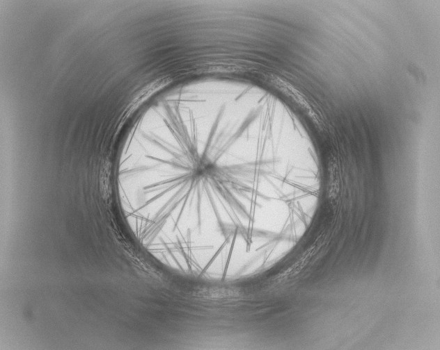 X0000116050786200912181251