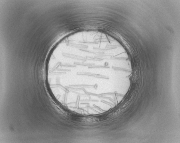 X0000116050795200912181250