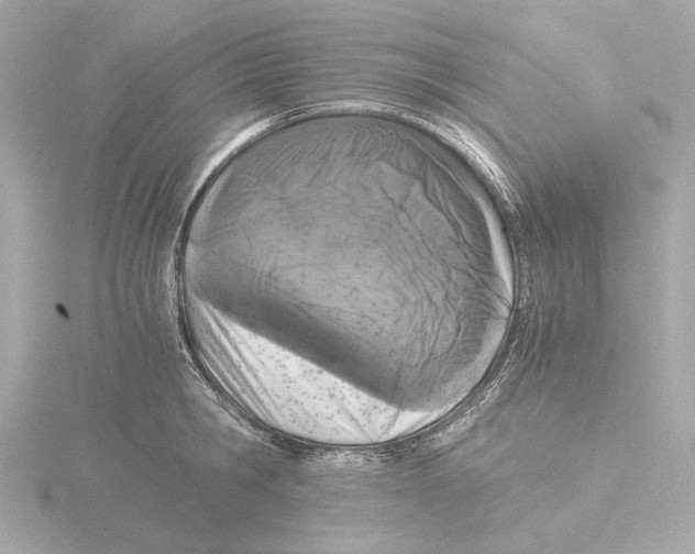 X0000116050806200912181250